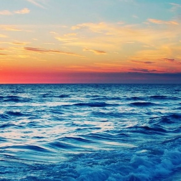 Meet your Posher, Amy - Picture 1 of 1